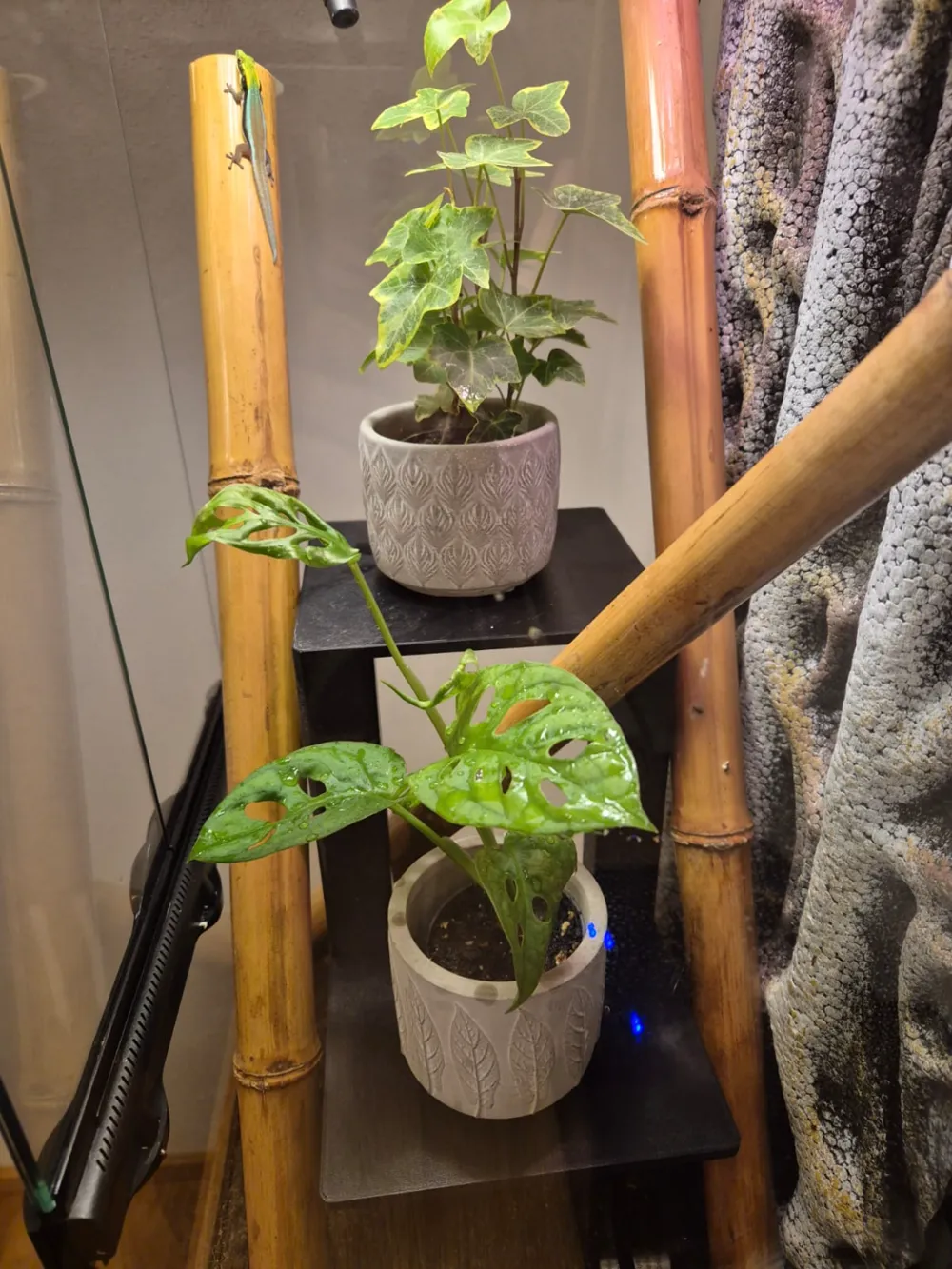 Modular Shelf for Terrariums by Hexagon Prints - MakerWorld