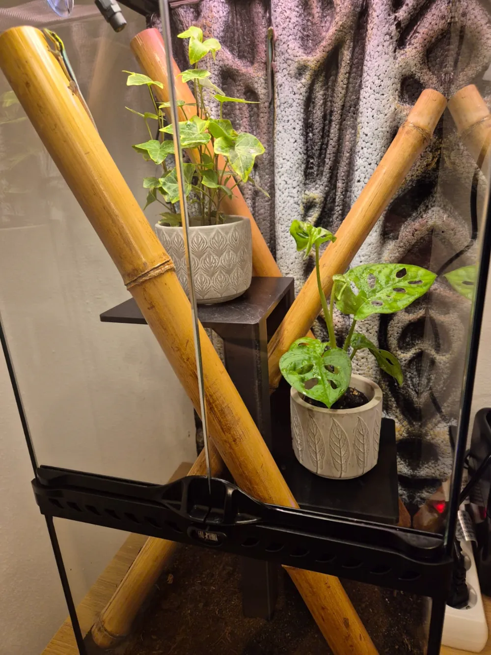 Modular Shelf for Terrariums by Hexagon Prints - MakerWorld