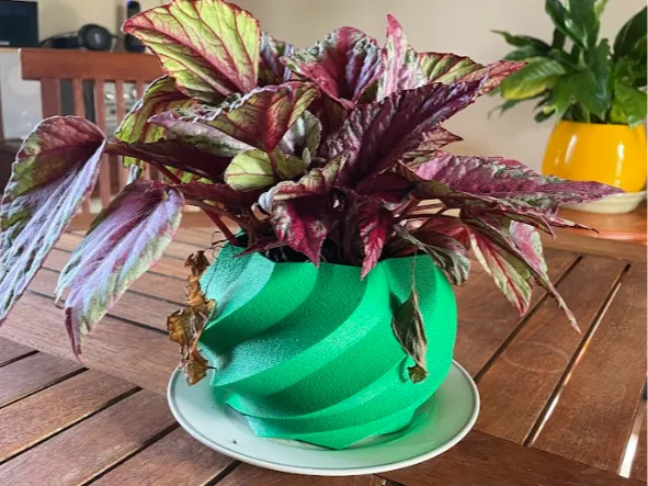 fuzzy plant pot