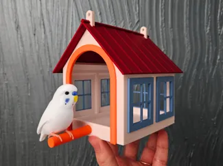 Bird Feeder