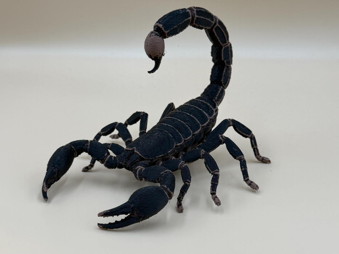 Midnight Stalker Scorpion - 1