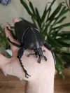 Single color - 0.16mm layer, 2 walls, 5% infill