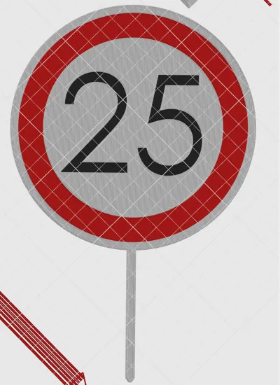 25th birhday
