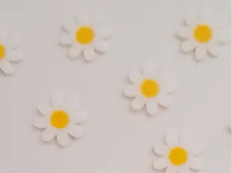 mini daisy confetti / mini madeliefje 