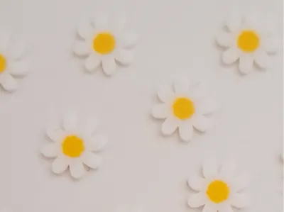 mini daisy confetti / mini daisy