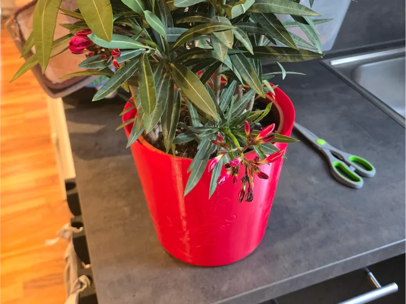 Blumentop Übertopf
