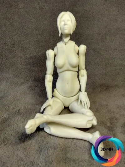 https://makerworld.bblmw.com/makerworld/model/USc61d79413c13e2/design/2024-06-19_eea4c312358a6.webp