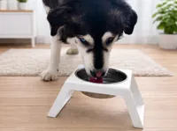 Single Bowl Stand – original design