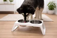 Double Bowl Stand – food + water or multi-pet use