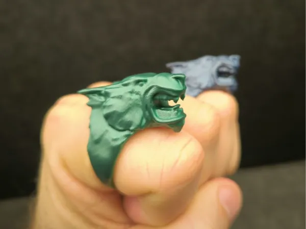 https://makerworld.bblmw.com/makerworld/model/USc628404c6b4c62/design/2025-01-21_7c79090fed076.jpg