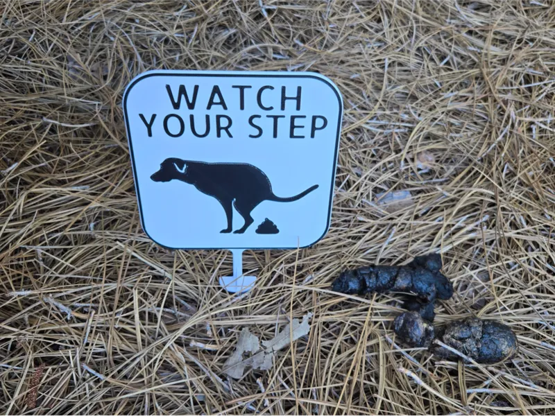 Watch Your Step Sign - Dog Poop!