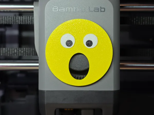 https://makerworld.bblmw.com/makerworld/model/USc62ad25ab24f02/design/02f2bc020ff8d654.jpg