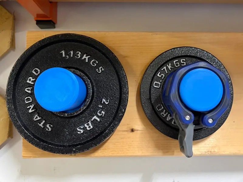 Small Olympic Weight Plate Wall Storage Bracket