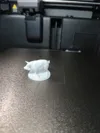 Pig Only