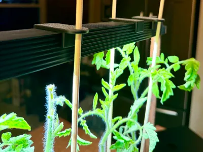 Auk Garden/Planter : Plant Support Dowel Holder
