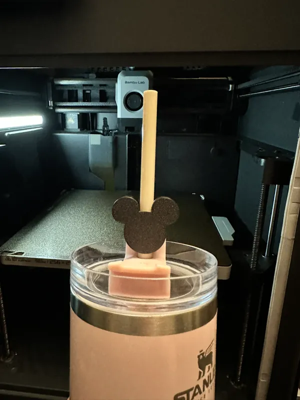 https://makerworld.bblmw.com/makerworld/model/USc6346fb477b3ed/design/2024-03-04_943483e462779.jpeg