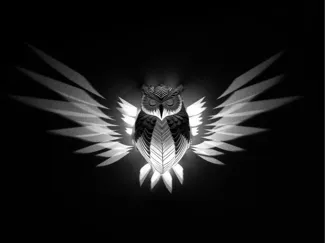 Owl wall light
