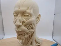 0.12mm layer, 3 walls, 3% infill