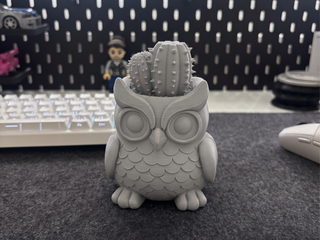 Cactus Owl Guardian | Aesthetic Nature Decor