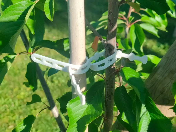 https://makerworld.bblmw.com/makerworld/model/USc63b884bb501f5/design/29ed904ef1bbe0d1.jpg