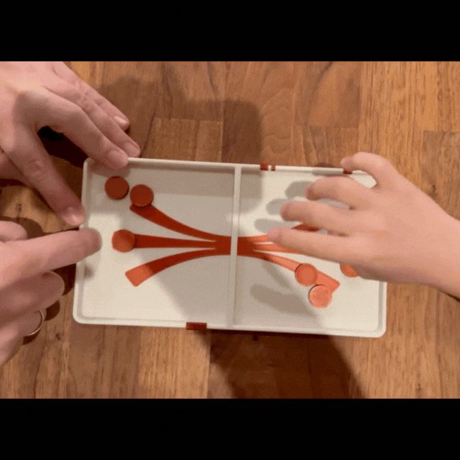 Mini Sliding Puck Game