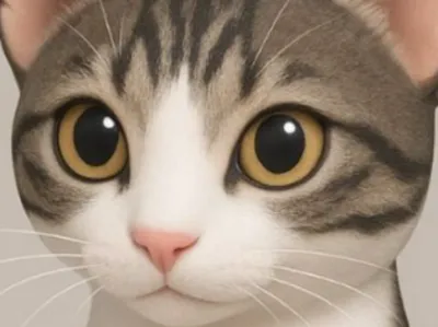Gato