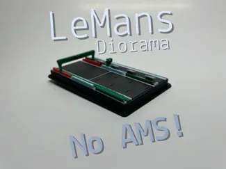 LeMans Diorama (No AMS!)