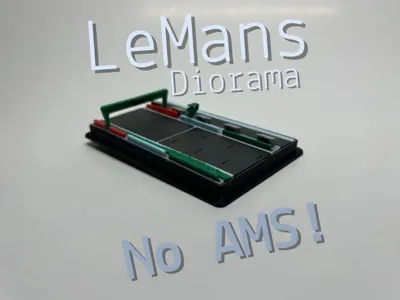 LeMans Diorama (No AMS!)