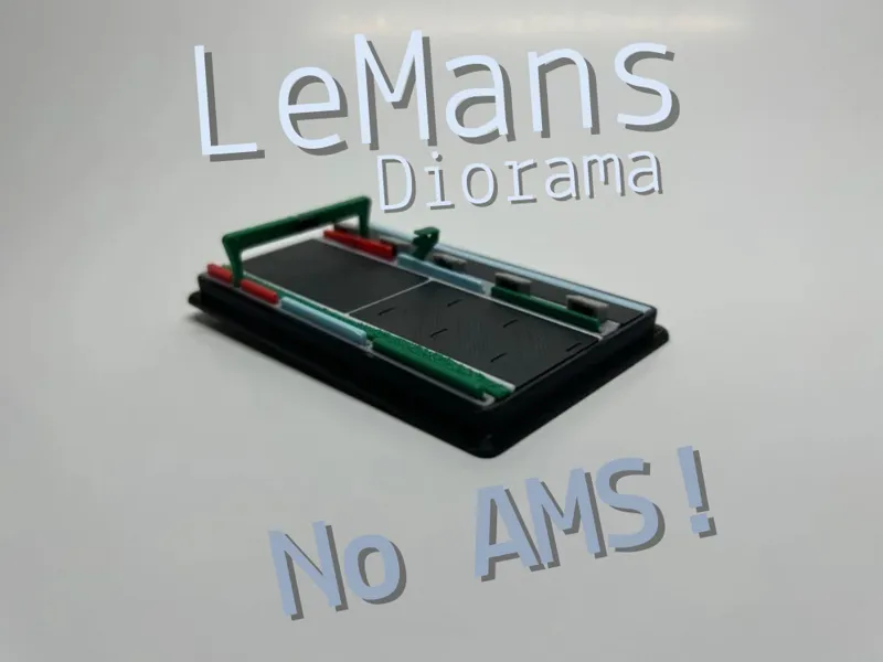 LeMans Diorama (No AMS!)