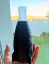 PETG Traslucient + Black 0.28mm layer, 1 walls, 0% infill