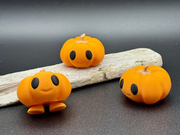 https://makerworld.bblmw.com/makerworld/model/USc666a642581754/design/2025-09-19_efa4797669e178.jpg