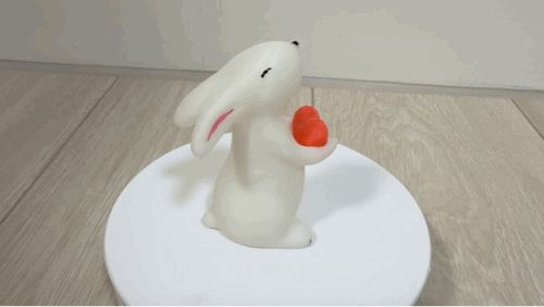 溫和可愛兔子