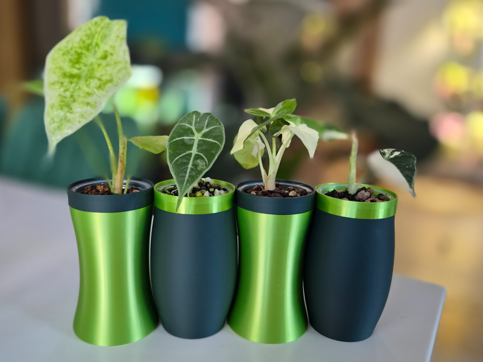 Simple Cuddling Pots - 3D printed Decor, in stock in India