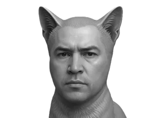 Nekody