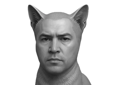 Nekody