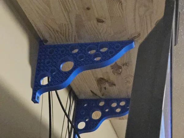 https://makerworld.bblmw.com/makerworld/model/USc672e940e3bc22/design/2025-03-24_f75472e6b1248.jpg