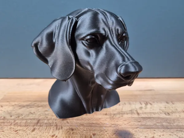 https://makerworld.bblmw.com/makerworld/model/USc6764364b7be44/design/2025-05-24_2dc76eb4d90fa.jpg