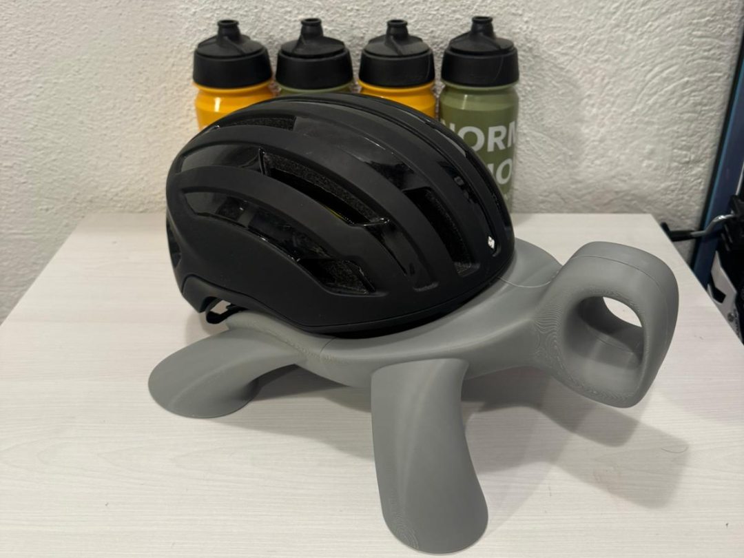 Turtle Helmet Holder