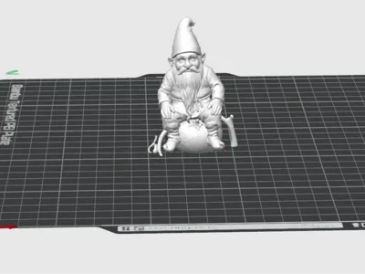 Gnome On Tomato