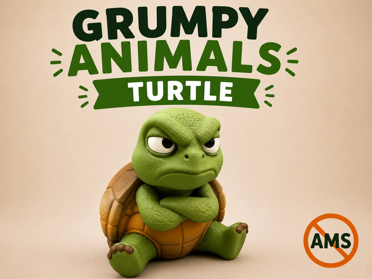 Grumpy Turtle