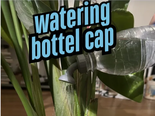 watering bottle cap 