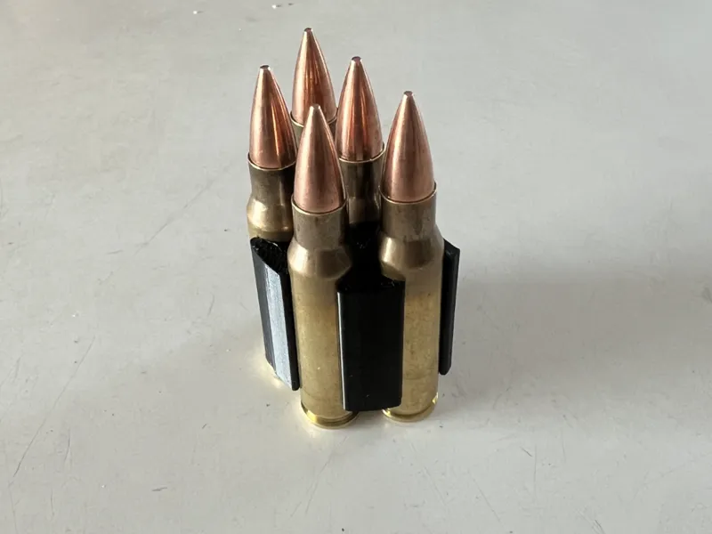 Ammo holder
