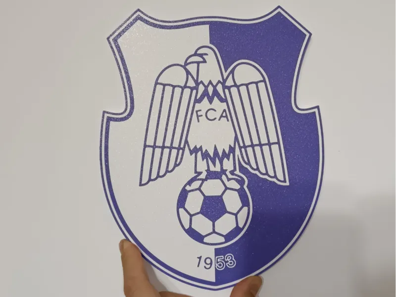 Coat of arms/Emblem of the Fc Arges team LOGO Wall