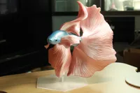 20cm高 50%大小