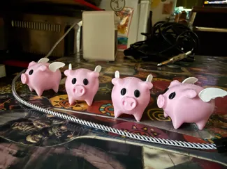 Flying Pig