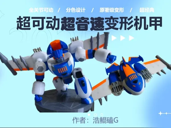 https://makerworld.bblmw.com/makerworld/model/USc69af0ddd5c149/design/0830047f-430d-4e4d-bdce-63fa261af34f.webp