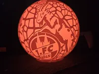 1 FC Köln Lampe 170mm