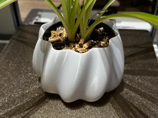 Plant pot cover