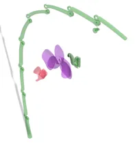 V2 Orchid
