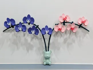 FlowerPower Collection: Orchid